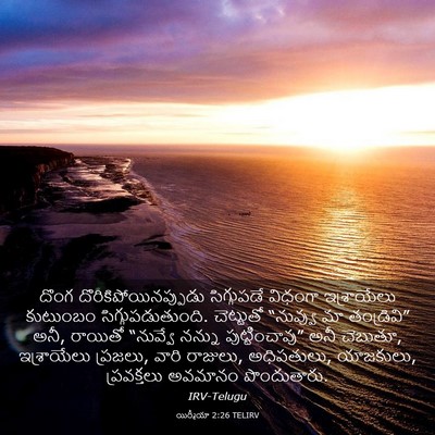 Picture 03 - యిర్మీయా 2:26 TELIRV - దొంగ - Bible Verse Picture