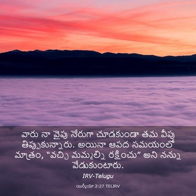 Picture 03 - యిర్మీయా 2:27 TELIRV - వారు నా వైపు - Bible Verse Picture