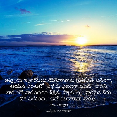 Picture 03 - యిర్మీయా 2:3 TELIRV - అప్పుడు ఇశ్రాయేలు - Bible Verse Picture