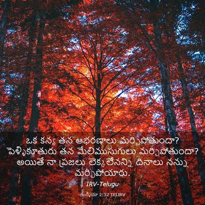Picture 03 - యిర్మీయా 2:32 TELIRV - ఒక కన్య తన ఆభరణాలు - Bible Verse Picture