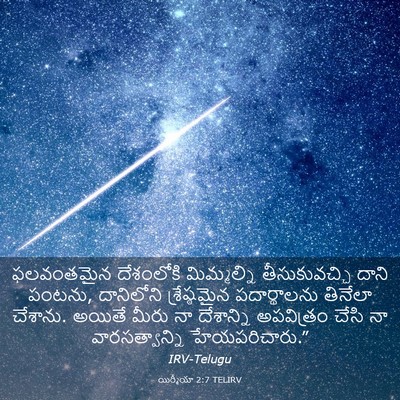 Picture 03 - యిర్మీయా 2:7 TELIRV - ఫలవంతమైన దేశంలోకి - Bible Verse Picture