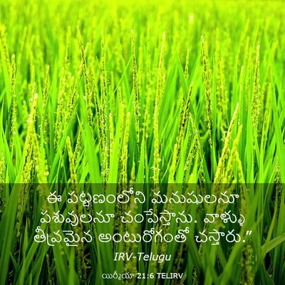 Picture 03 - యిర్మీయా 21:6 TELIRV - ఈ పట్టణంలోని - Bible Verse Picture