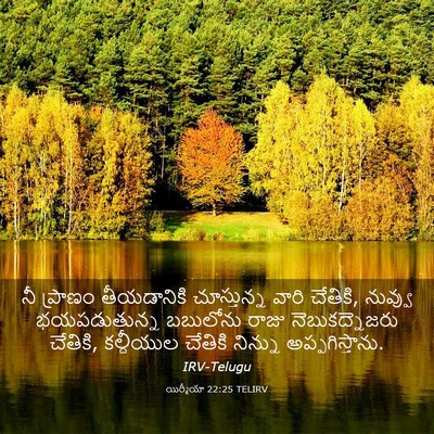 Picture 03 - యిర్మీయా 22:25 TELIRV - నీ ప్రాణం - Bible Verse Picture