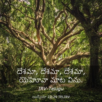 Picture 03 - యిర్మీయా 22:29 TELIRV - దేశమా, దేశమా, - Bible Verse Picture