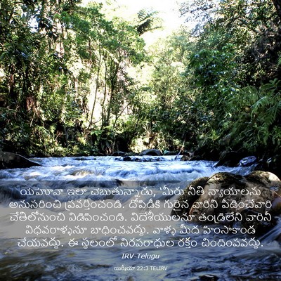 Picture 03 - యిర్మీయా 22:3 TELIRV - యెహోవా ఇలా - Bible Verse Picture