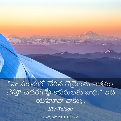 Picture 03 - యిర్మీయా 23:1 TELIRV - “నా మందలో చేరిన - Bible Verse Picture
