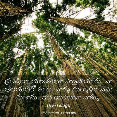 Picture 03 - యిర్మీయా 23:11 TELIRV - ప్రవక్తలూ యాజకులూ - Bible Verse Picture