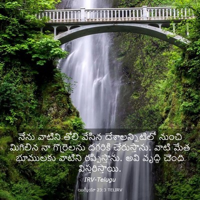 Picture 03 - యిర్మీయా 23:3 TELIRV - నేను వాటిని తోలి - Bible Verse Picture