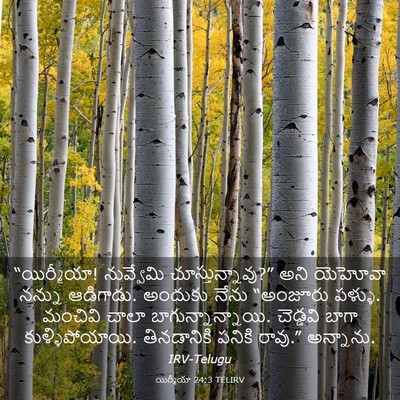 Picture 03 - యిర్మీయా 24:3 TELIRV - “యిర్మీయా! - Bible Verse Picture