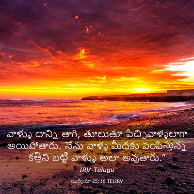 Picture 03 - యిర్మీయా 25:16 TELIRV - వాళ్ళు దాన్ని - Bible Verse Picture