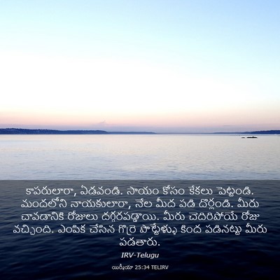 Picture 03 - యిర్మీయా 25:34 TELIRV - కాపరులారా, ఏడవండి. - Bible Verse Picture