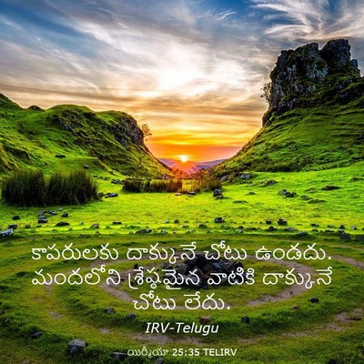 Picture 03 - యిర్మీయా 25:35 TELIRV - కాపరులకు దాక్కునే - Bible Verse Picture