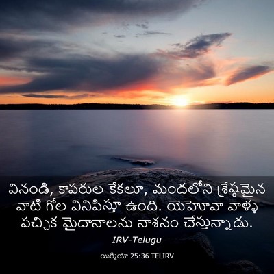 Picture 03 - యిర్మీయా 25:36 TELIRV - వినండి, కాపరుల - Bible Verse Picture