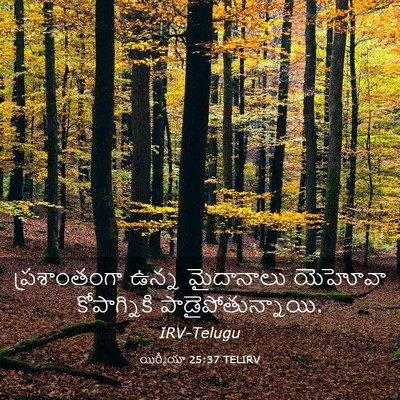 Picture 03 - యిర్మీయా 25:37 TELIRV - ప్రశాంతంగా ఉన్న - Bible Verse Picture
