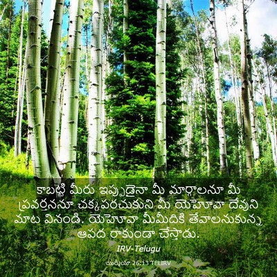 Picture 03 - యిర్మీయా 26:13 TELIRV - కాబట్టి మీరు - Bible Verse Picture