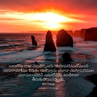 Picture 03 - యిర్మీయా 27:19 TELIRV - బబులోను రాజు - Bible Verse Picture