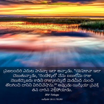 Picture 03 - యిర్మీయా 28:11 TELIRV - ప్రజలందరి ఎదుట - Bible Verse Picture