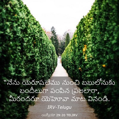 Picture 03 - యిర్మీయా 29:20 TELIRV - “నేను యెరూషలేము - Bible Verse Picture