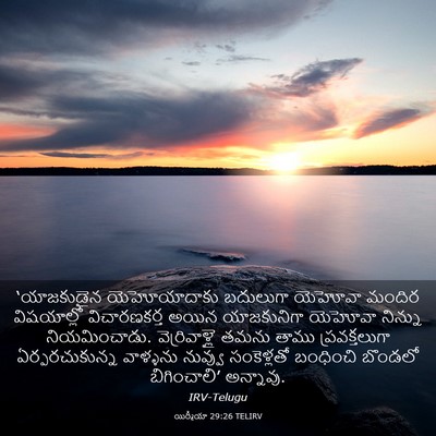 Picture 03 - యిర్మీయా 29:26 TELIRV - ‘యాజకుడైన - Bible Verse Picture