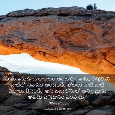 Picture 03 - యిర్మీయా 29:28 TELIRV - మీరు ఇక్కడ - Bible Verse Picture