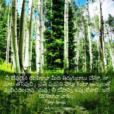 Picture 03 - యిర్మీయా 3:13 TELIRV - నీ దేవుడైన యెహోవా - Bible Verse Picture