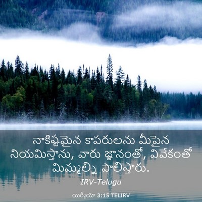 Picture 03 - యిర్మీయా 3:15 TELIRV - నాకిష్టమైన - Bible Verse Picture
