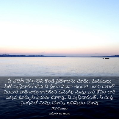 Picture 03 - యిర్మీయా 3:2 TELIRV - నీ తలెత్తి చెట్లు - Bible Verse Picture