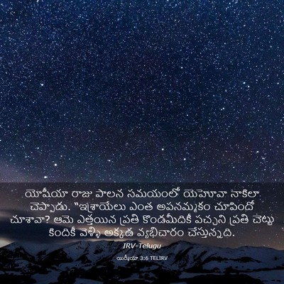 Picture 03 - యిర్మీయా 3:6 TELIRV - యోషీయా రాజు పాలన - Bible Verse Picture