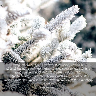 Picture 03 - యిర్మీయా 30:10 TELIRV - కాబట్టి, నా - Bible Verse Picture