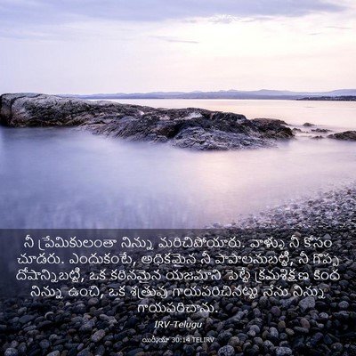 Picture 03 - యిర్మీయా 30:14 TELIRV - నీ ప్రేమికులంతా - Bible Verse Picture