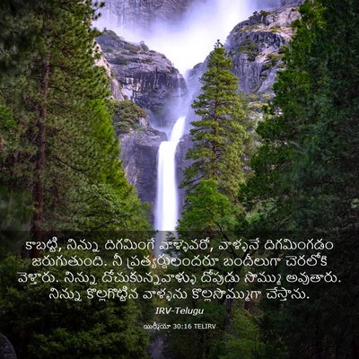 Picture 03 - యిర్మీయా 30:16 TELIRV - కాబట్టి, నిన్ను - Bible Verse Picture
