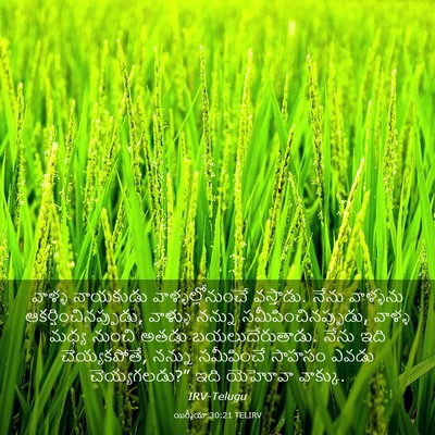 Picture 03 - యిర్మీయా 30:21 TELIRV - వాళ్ళ నాయకుడు - Bible Verse Picture