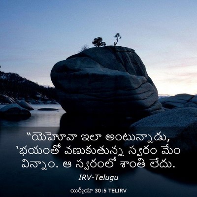 Picture 03 - యిర్మీయా 30:5 TELIRV - “యెహోవా ఇలా - Bible Verse Picture