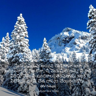 Picture 03 - యిర్మీయా 30:8 TELIRV - సేనల ప్రభువు అయిన - Bible Verse Picture