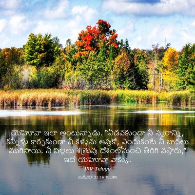 Picture 03 - యిర్మీయా 31:16 TELIRV - యెహోవా ఇలా - Bible Verse Picture