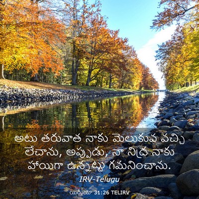 Picture 03 - యిర్మీయా 31:26 TELIRV - అటు తరువాత నాకు - Bible Verse Picture