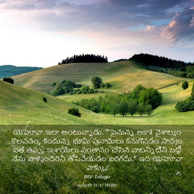 Picture 03 - యిర్మీయా 31:37 TELIRV - యెహోవా ఇలా - Bible Verse Picture