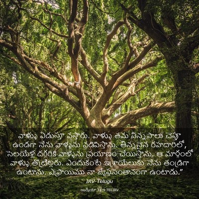 Picture 03 - యిర్మీయా 31:9 TELIRV - వాళ్ళు ఏడుస్తూ - Bible Verse Picture