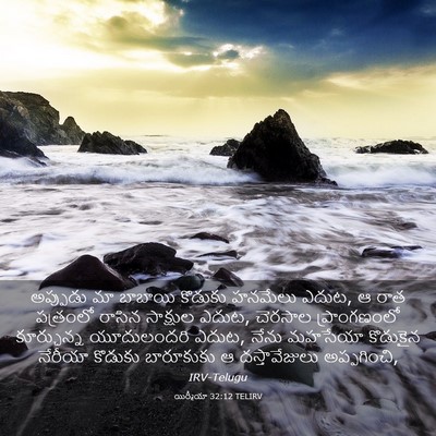 Picture 03 - యిర్మీయా 32:12 TELIRV - అప్పుడు మా బాబాయి - Bible Verse Picture