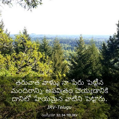 Picture 03 - యిర్మీయా 32:34 TELIRV - తరువాత వాళ్ళు నా - Bible Verse Picture