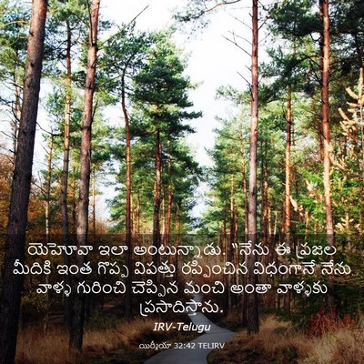 Picture 03 - యిర్మీయా 32:42 TELIRV - యెహోవా ఇలా - Bible Verse Picture