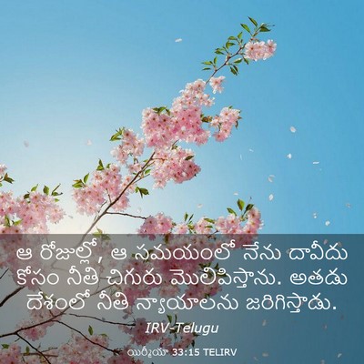 Picture 03 - యిర్మీయా 33:15 TELIRV - ఆ రోజుల్లో, ఆ - Bible Verse Picture