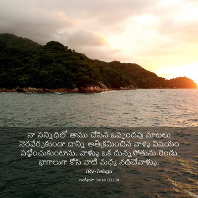 Picture 03 - యిర్మీయా 34:18 TELIRV - నా సన్నిధిలో తాము - Bible Verse Picture