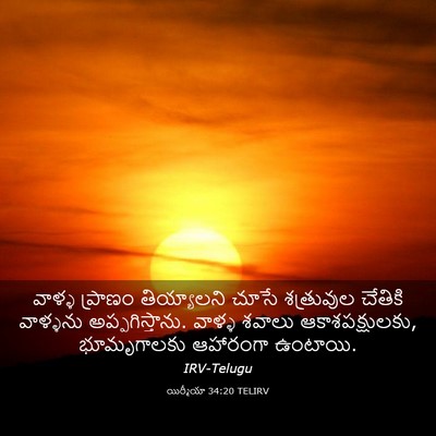 Picture 03 - యిర్మీయా 34:20 TELIRV - వాళ్ళ ప్రాణం - Bible Verse Picture