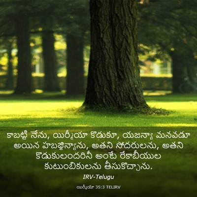 Picture 03 - యిర్మీయా 35:3 TELIRV - కాబట్టి నేను, - Bible Verse Picture