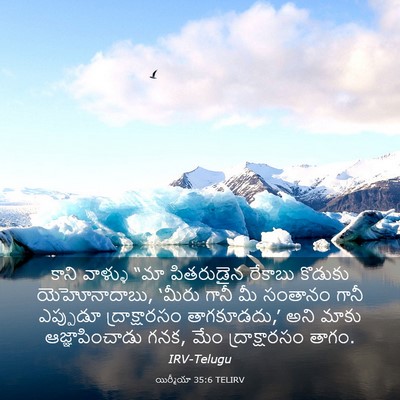 Picture 03 - యిర్మీయా 35:6 TELIRV - కాని వాళ్ళు “మా - Bible Verse Picture