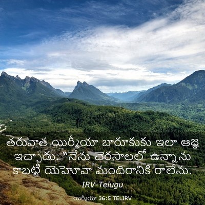 Picture 03 - యిర్మీయా 36:5 TELIRV - తరువాత యిర్మీయా - Bible Verse Picture