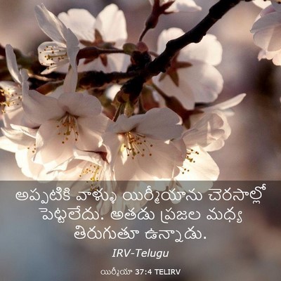 Picture 03 - యిర్మీయా 37:4 TELIRV - అప్పటికి వాళ్ళు - Bible Verse Picture