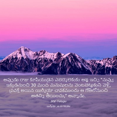 Picture 03 - యిర్మీయా 38:10 TELIRV - అప్పుడు రాజు - Bible Verse Picture