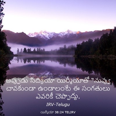 Picture 03 - యిర్మీయా 38:24 TELIRV - అప్పుడు సిద్కియా - Bible Verse Picture